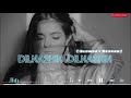Dilnashi Dilnashi Music Ringtone