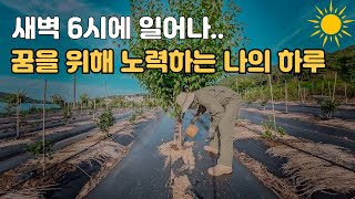새벽 6시, 농부 지망생의 하루 시골에서 살아남기 | 실패는 과정일 뿐 ????