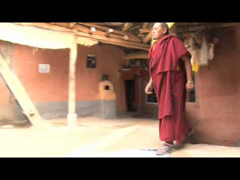 Monk and the Mosquito.mov