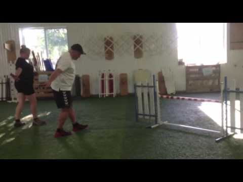 Kayl McCann & Grand Slam - ONE MIND DOG - Agility Poetry in Motion