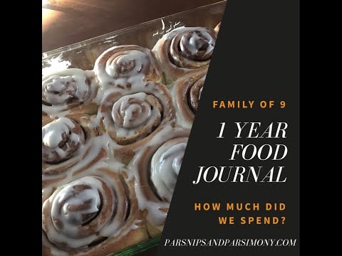 How We Fed Our Family Of 9 For $5,803.16 1 Year Food Journal Video