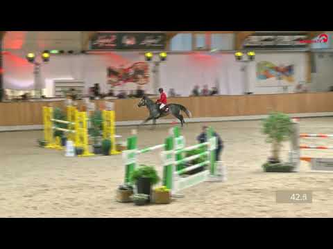 Hickstead White begeistert in Riesenbeck
