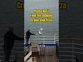DON T Feed Seagulls CRUISE Ship PIZZA Shorts Cruiseship Crucero Travel