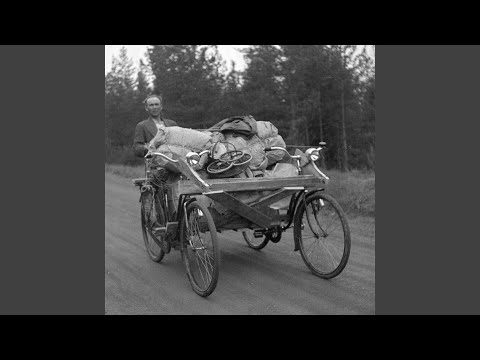 Järvimaisema – Lepo lepo lehmäni