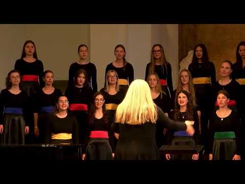 Nová generace, stejná vášeň: Vydáváme CD Polyfonie po 13 letech