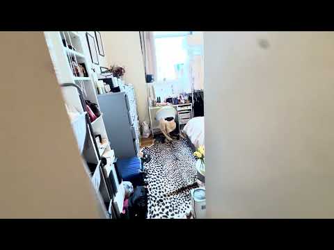 video 1