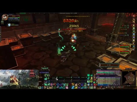 Insâne vs Botín de Pandaria NM