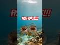 Video Thumbnail for Pike got a sense of humor #memes #funny #shorts #fishing