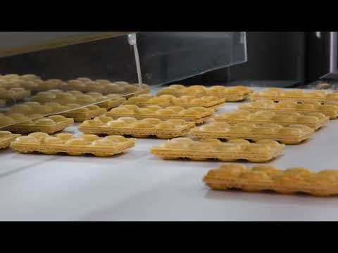 Bombbar Protein Wafers