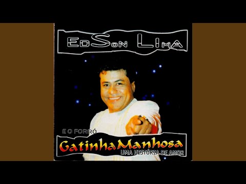 Nunca Mais Vou Te Esquecer - Gatinha Manhosa
