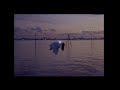 Ichiko Aoba - SONAR (Official Music Video)
