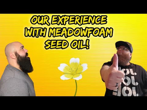 MEADOWFOAM SEED OIL | Is It Good For Your BEARD?