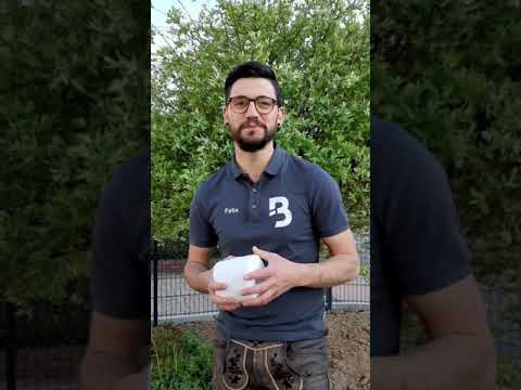 dieBANDE - Klopapier Challenge 2020