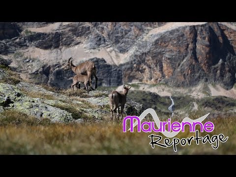 Maurienne Reportage #137 - Clip Haute Maurienne Vanoise