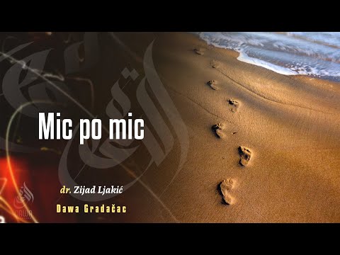 MIC PO MIC - dr. Zijad Ljakić