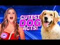 CUTEST Dog Acts On AGT EVER