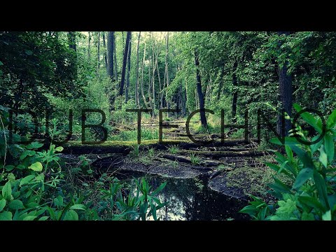 Dub Techno Session | 105 | Superordinate Dub Waves Label Mix