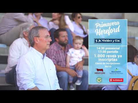 Remate Primavera Hereford 2020