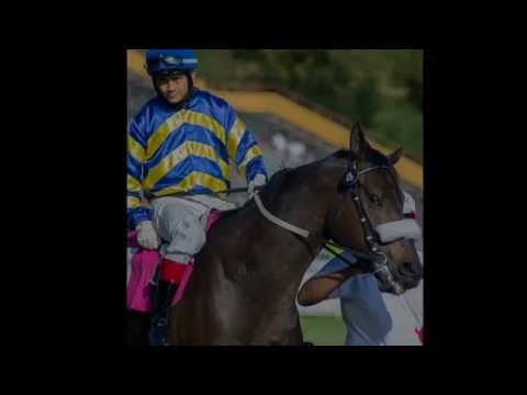 THE AFRASIA DUKE OF YORK CUP 2014 - 1600M - 15h20