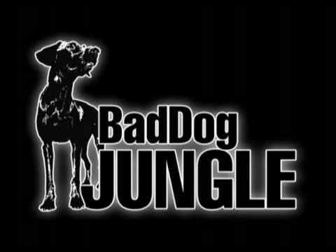 Ragga Scum + DJSKdaJunglist feat Negro Scoe - Sick With It - BadDog Jungle