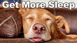 Sleep Better At Night With Simple Evening Exercises!