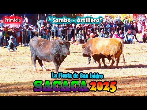 La fiesta de San  Isidro SACACA 2025, "Sambo-Artillero"Final. Video Oficial de ALPRO BO.