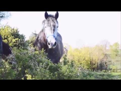 I'll stick it out till the end.