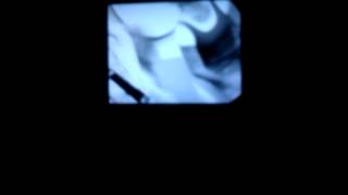 Monet (Everything Stinks) - "2 Of Them ('06)" - The Suite Life of Zack &amp; Cody