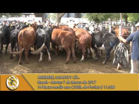 07-03-17 venta de vientres - Arribere, Ugarte y Cía. - Rauch