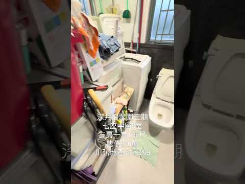 浪翠园 Youtube Video