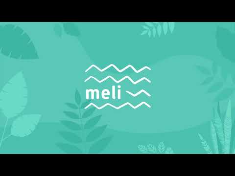 Help Amazonian Community protect their native bees