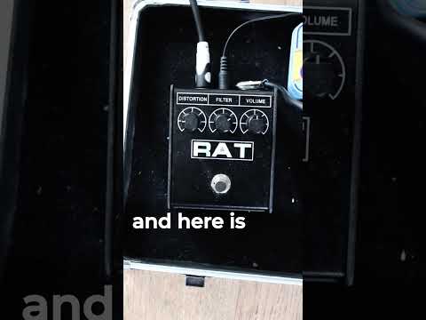 【DEMO】- Bocchi's second pedal (Proco RAT 2 Breakdown)