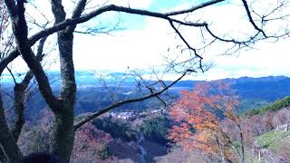 DBD サバイバーで生き延びれ