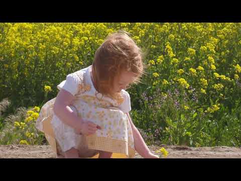 Himnos SUD // Primaria  Instrumental (3)