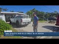 Florida Man Fatally Shot Blue Heron And Mallard Duck
