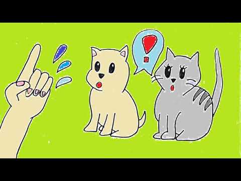 日本文化学科 犬と猫　 (19AA123)