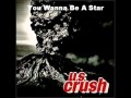 U.S. Crush -  You Wanna Be A Star