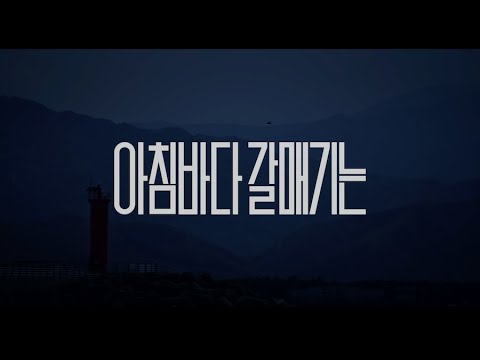 [아침바다 갈매기는] 메인 예고편