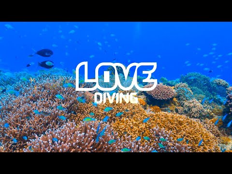 LOVE Diving