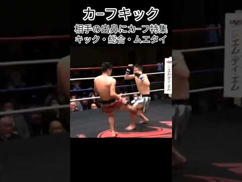 ＃カーフキック　＃カウンター　＃キックボクシング　＃ムエタイ　＃総合格闘技