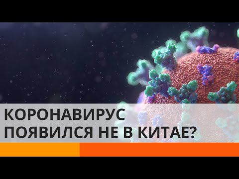 Коронавирус существовал задолго до вспышки в Китае? — ICTV