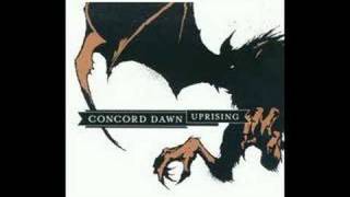 Concord Dawn - Raining Blood
