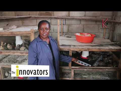 How to use the smallest space to farm. Quail bird farming in Uganda.