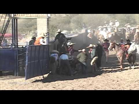 35 - The Best of the Coleaderos - Valparaiso, Zacatecas