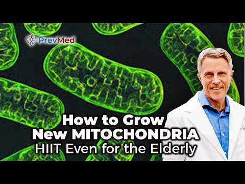 How to Grow New Mitochondria - HIIT Even for the Elderly
