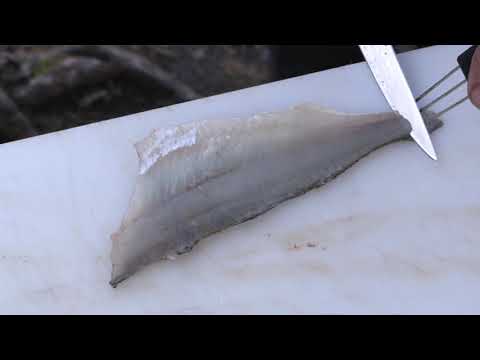 Ahvenen fileointi ruodottomaksi