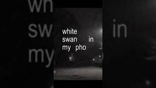 Download lagu Flash - Cigarettes After Sex  #music #lyrics #lyricvideo mp3