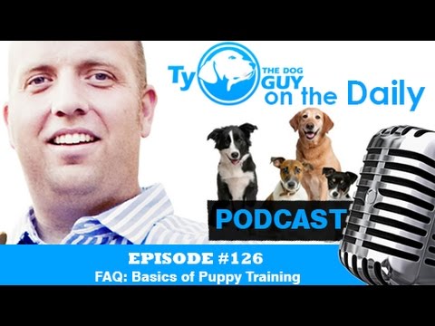 Episode # 126 - FAQ: Basics of Puppy Training - Utah Dog Training