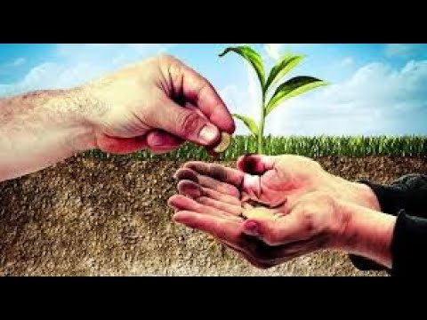 Cili është dallimi midis sadakasë (lëmoshës) dhe zekatit? - Dr. Imam Ahmed Kalaja