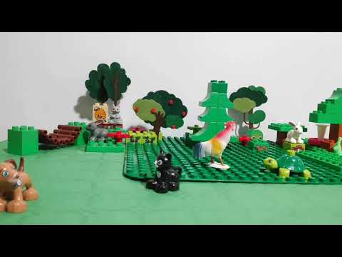 Cocosul neascultator